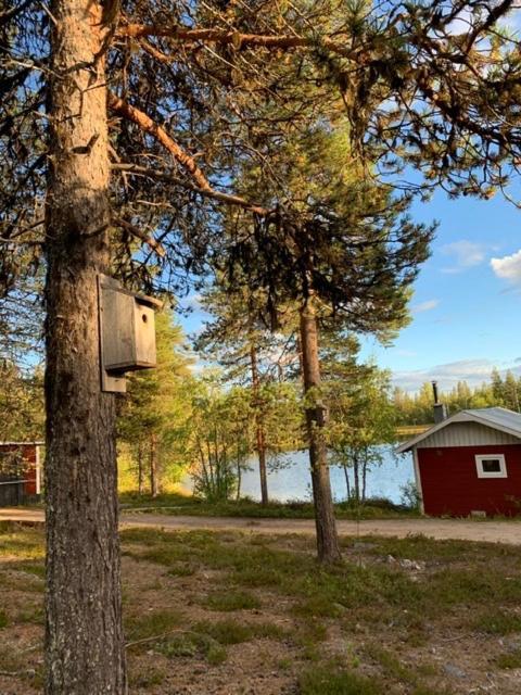 Off-Grid Cabin In Nattavaara Lapland מראה חיצוני תמונה
