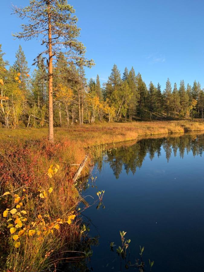 Off-Grid Cabin In Nattavaara Lapland מראה חיצוני תמונה