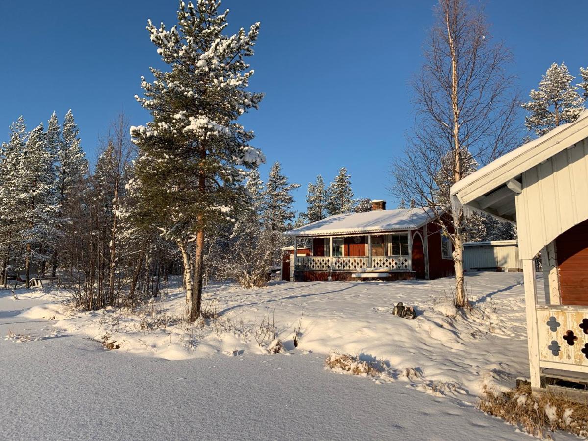 Off-Grid Cabin In Nattavaara Lapland מראה חיצוני תמונה